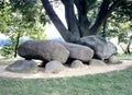 Prehistoric dolmen, hunebed, in Borger, Drente Drenthe,The Netherlands