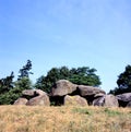 Prehistoric dolmen, Hunebed DXLI in Emmen, The Netherlands Royalty Free Stock Photo