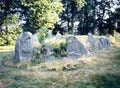 Prehistoric dolmen in Schimmeresch, Emmen, Holland