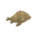 Prehistoric Fish, Biology Evolution Stage, Evolutionary Gradual Development Vector Illustration