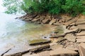 Prehistoric fossil shells shore