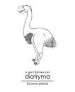 A prehistoric giant flightless bird Diatryma