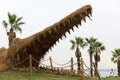 Prehistoric huge crocodile sculpture made with straw, adobe rgb