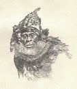 A prehistoric hunter dressed in furs. Old black and white illustration. Vintage drawing. Illustration by Zdenek