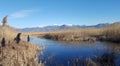 The prehistoric lakeside settlement of Dispilio Royalty Free Stock Photo