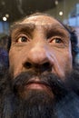 Prehistoric man (wax model)