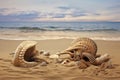 prehistoric marine fossils on a sandy beach