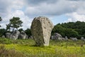 Menhirs alignment. Carnac, Brittany. France