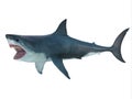 Megalodon Shark Attack Posture