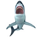 Megalodon Shark Front Profile Royalty Free Stock Photo