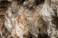 Prehistoric petroglyph rock paintings in Raja Ampat, West Papua, Indonesia Royalty Free Stock Photo