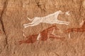 Prehistoric Petroglyphs in libian sahara desert Royalty Free Stock Photo