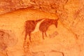 Prehistoric rock paintings. Algeria, Afrika