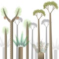 Prehistoric Plants Set With Prehistoric Plants white backgroud