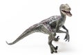 Velociraptor, on white background Royalty Free Stock Photo