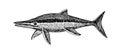 Prehistoric reptile of the Jurassic period, giant ichthyosaur with fins, ancient sea lizard