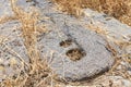 Prehistoric  ritual stone candlestick in ruins of the main hall of the Dir Aziz Synagogue, built in the Byzantine period, at the Royalty Free Stock Photo