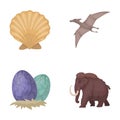 Prehistoric shell, dinosaur eggs,pterodactyl, mammoth. Dinosaur and prehistoric period set collection icons in cartoon Royalty Free Stock Photo