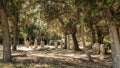 Menhirs at Cauria in Corsica