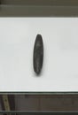 Prehistoric stone gouge or chisel