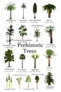 Prehistoric Trees from Various Periods of Earth History
