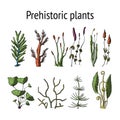 Prehistoric vector plants.
