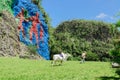 Prehistoric wall in Vinales