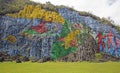 Prehistoric wall in ViÃÂ±ales, Cuba