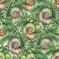 Prehistoric watercolor seashell and fern branches