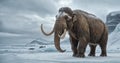 Prehistoric wolly mammoth, an ancient giant of the ice age