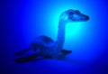 A Prehistoruc Plesiosaur Lurks at the Bottom Royalty Free Stock Photo