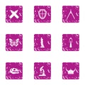 Prehistory icons set, grunge style Royalty Free Stock Photo