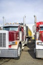 Loaded big rig classic semi trucks with vertical exhaust pipes and flat bed semi trailers standing in row on parking lot Royalty Free Stock Photo
