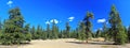 Prelude Lake Territorial Park Landscape Panorama with Sand Dunes and Pines in Boreal Forest, Northwest Territories, Canada Royalty Free Stock Photo