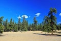 Prelude Lake Territorial Park with Sand Dunes and Boreal Forest, Northwest Territories, Canada Royalty Free Stock Photo