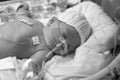 Premature Baby Royalty Free Stock Photo