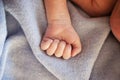 premature baby hand. a baby born prematurely Royalty Free Stock Photo