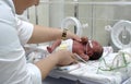 Premature baby in intensive care unit at hospital Royalty Free Stock Photo