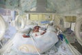 Neonatal Intensive Care Royalty Free Stock Photo