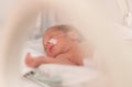 Premature newborn baby girl Royalty Free Stock Photo