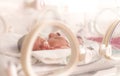 Premature newborn baby girl Royalty Free Stock Photo