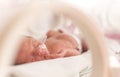 Premature newborn baby girl Royalty Free Stock Photo