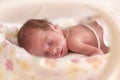 Premature newborn baby girl Royalty Free Stock Photo