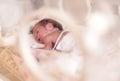 Premature newborn baby girl Royalty Free Stock Photo