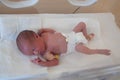 Premature newborn baby in the hospital incubator. Neonatal intensive care unit Royalty Free Stock Photo