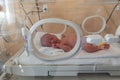 Premature newborn baby in the hospital incubator. Neonatal intensive care unit Royalty Free Stock Photo