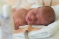 Premature newborn baby in the hospital incubator. Neonatal intensive care unit Royalty Free Stock Photo