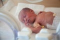 Premature newborn baby in the hospital incubator. Neonatal intensive care unit Royalty Free Stock Photo