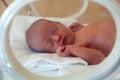 Premature newborn baby in the hospital incubator. Neonatal intensive care unit Royalty Free Stock Photo