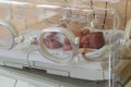 Premature newborn baby in the hospital incubator. Neonatal intensive care unit Royalty Free Stock Photo